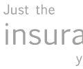 lsm-insurance-logo-2008