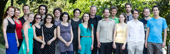 foliovision team 2013