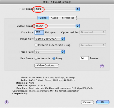 qt export settings