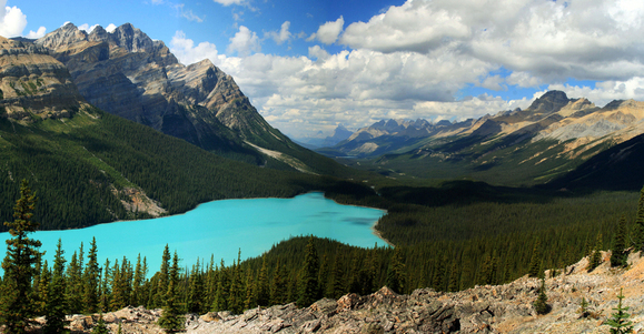 Peyto Lake by Frank Kovalchek