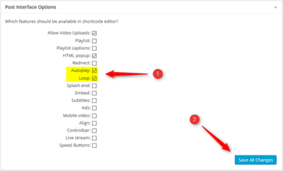 FV-Player - Post Interface Options - Custom