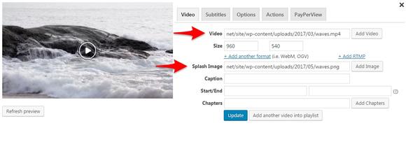 Add a source video URL and set a splash image