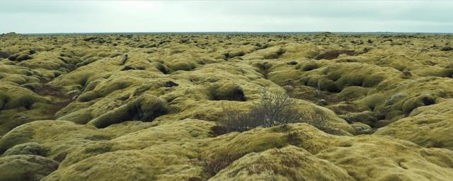 Green Icelandic meadow