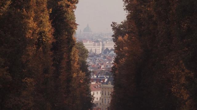 View from a tree alley to the Vienna city centre