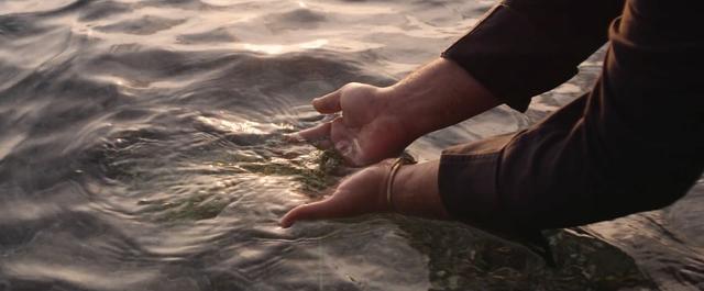 Angel Leon holding grain of sea rice under the water